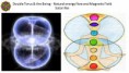 /album/galeria-de-fotos/double-torus-the-being-satori-rei-jpg/